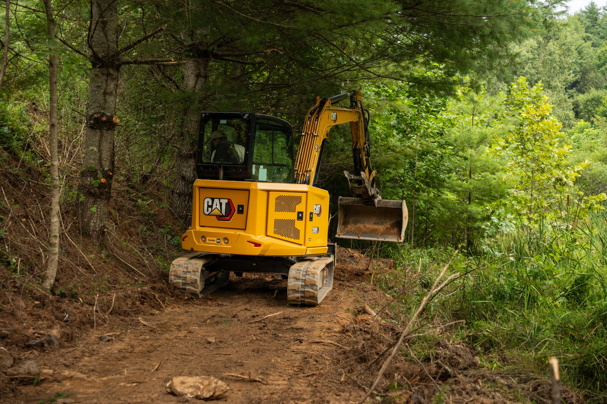 Excavator cutting a new trail through pines